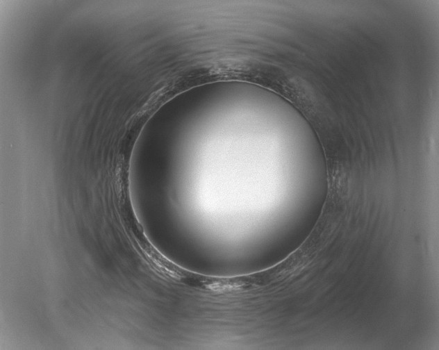 X0000078891012200611201431