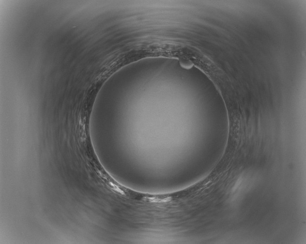 X0000078891013200611201431