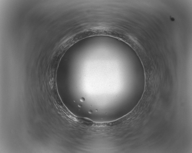 X0000078891015200611201431