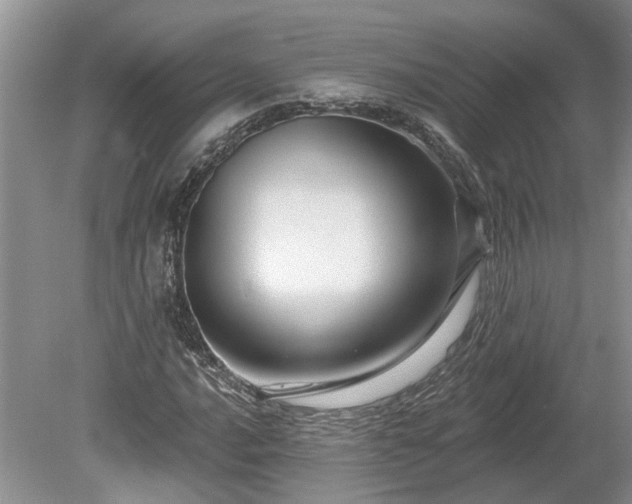 X0000078891016200611201431