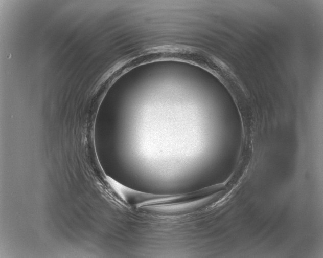 X0000078891017200611201431