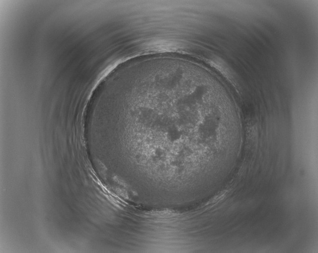 X0000078891023200611201431