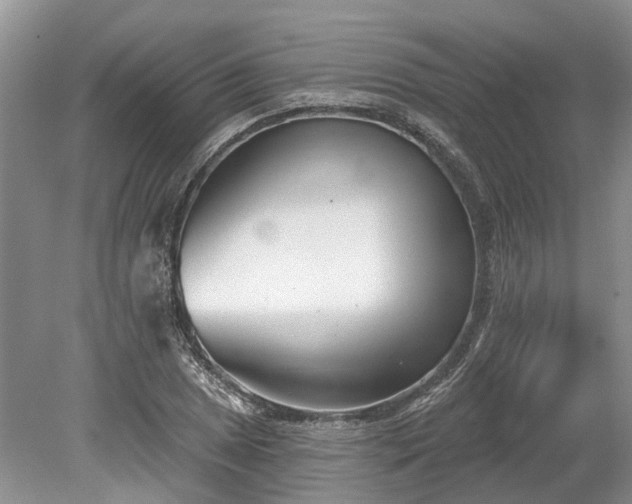 X0000078891025200611201431