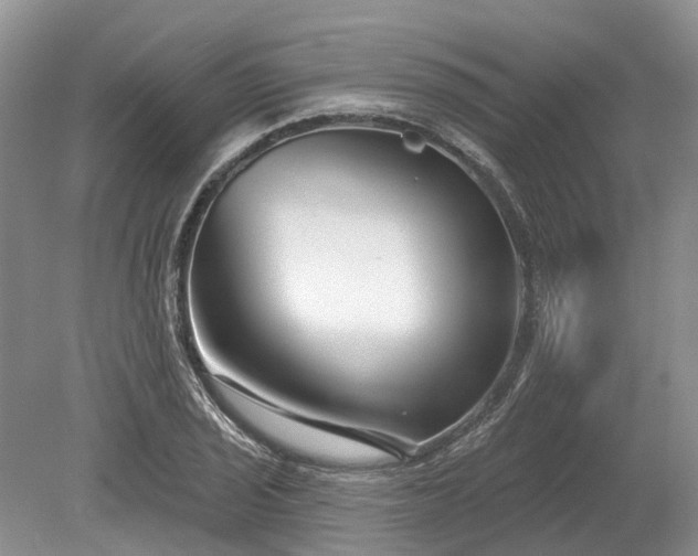 X0000078891029200611201431