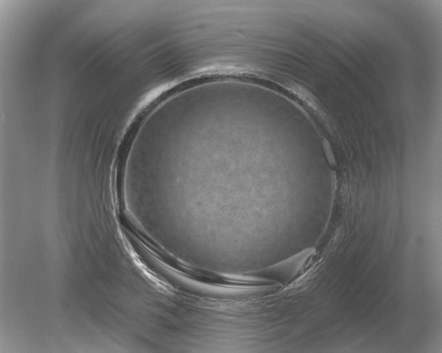 X0000078891030200611201431