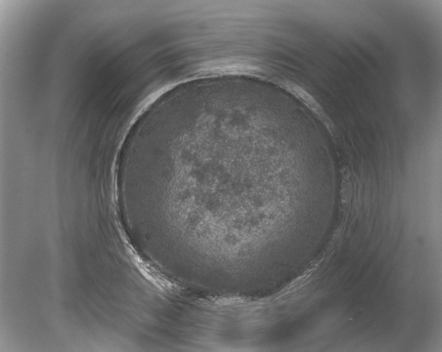 X0000078891031200611201431