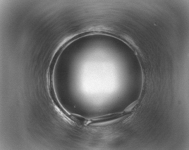 X0000078891032200611201431