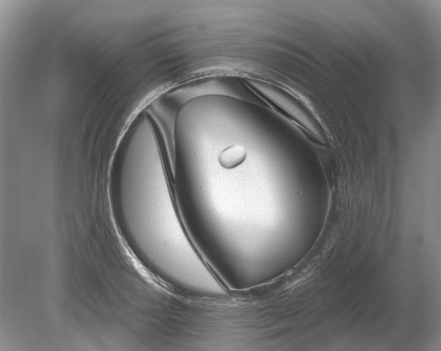 X0000078891034200611201431