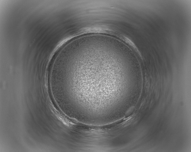 X0000078891035200611201431