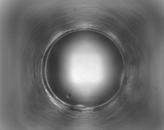 X0000078891039200611201431