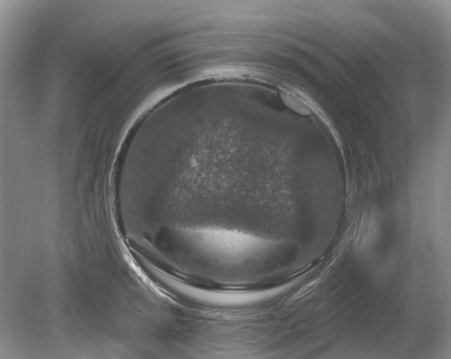 X0000078891045200611201431