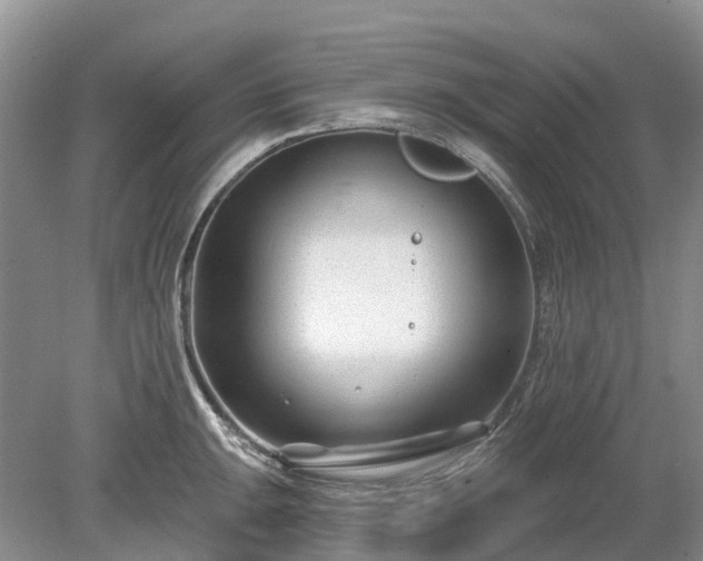 X0000078891047200611201431