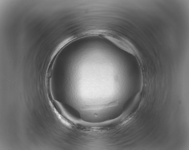 X0000078891050200611201431