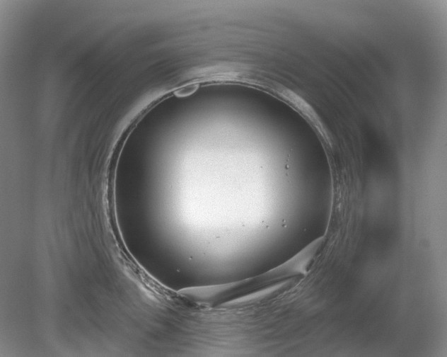 X0000078891051200611201431