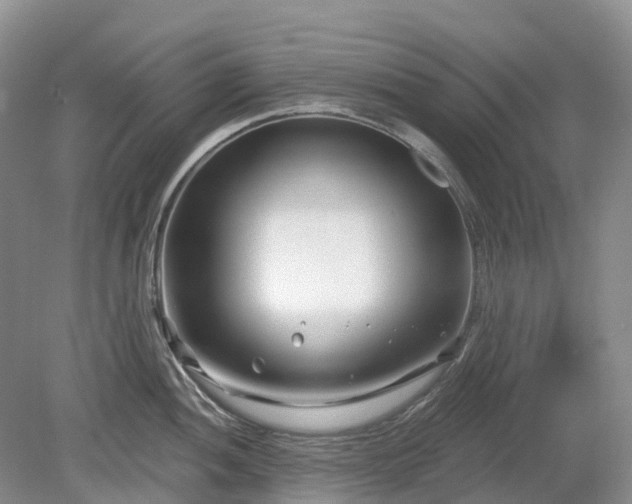 X0000078891052200611201431