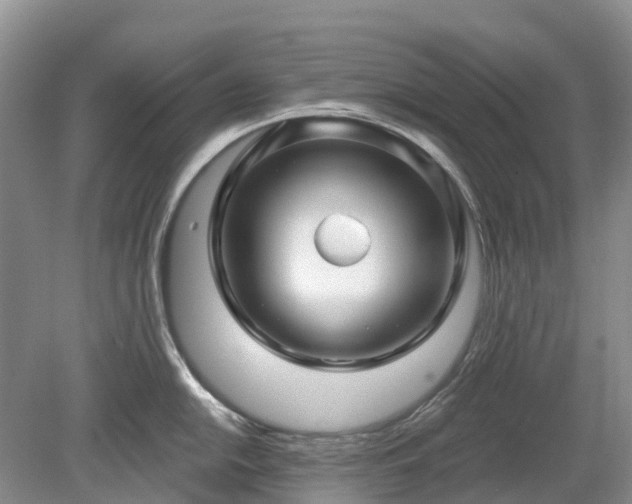 X0000078891054200611201432