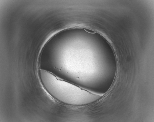 X0000078891056200611201432