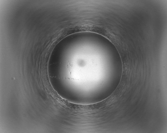 X0000078891057200611201431