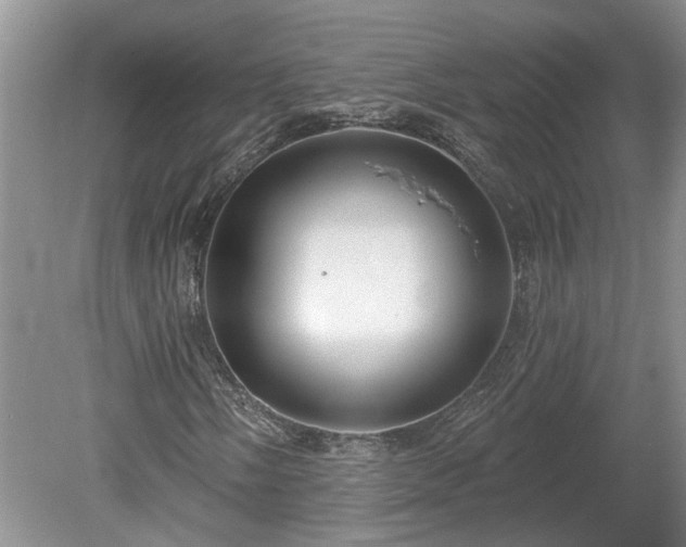 X0000078891058200611201431