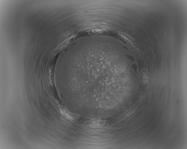 X0000078891060200611201431