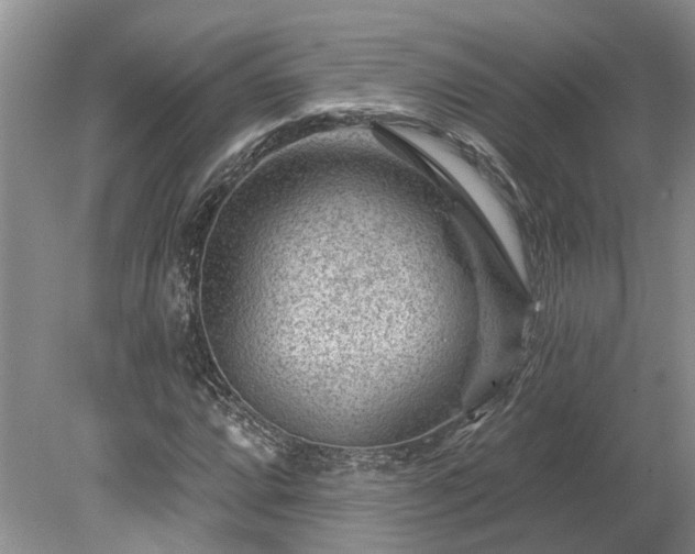 X0000078891064200611201431