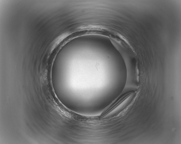 X0000078891066200611201431