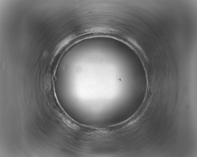 X0000078891067200611201431