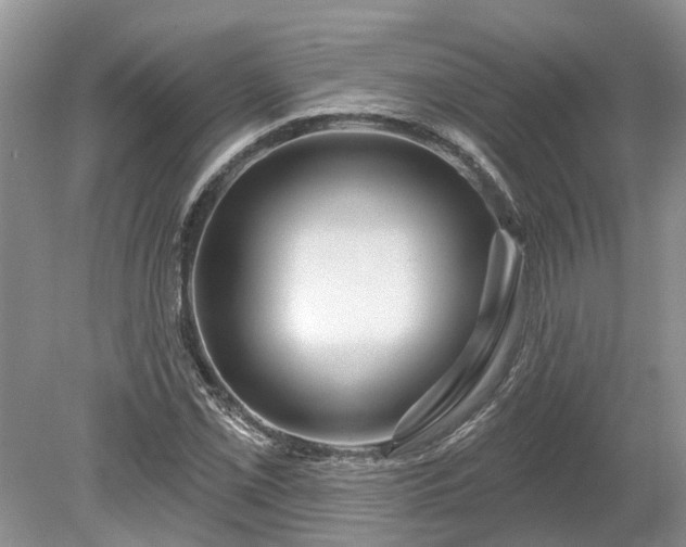 X0000078891069200611201431