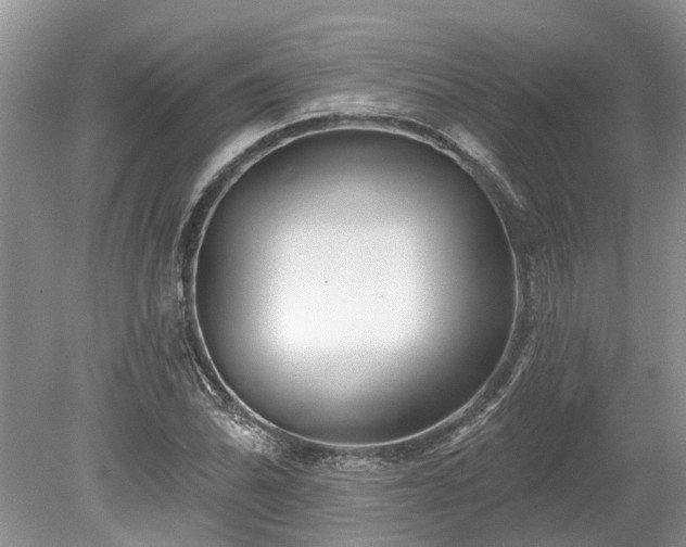 X0000078891070200611201431