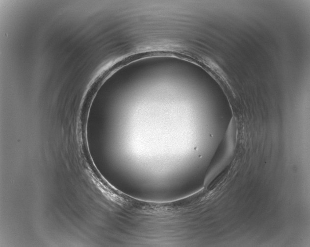 X0000078891072200611201430