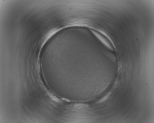 X0000078891077200611201430