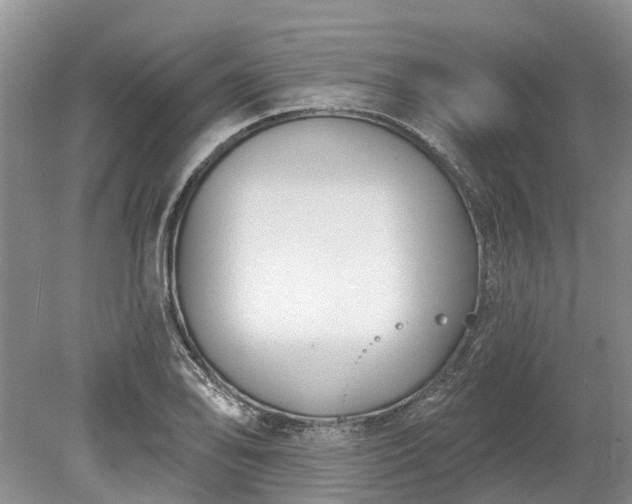 X0000078891078200611201430