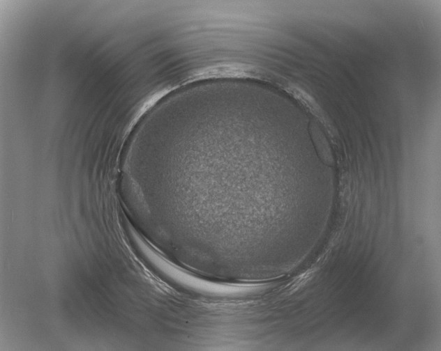 X0000078891081200611201430