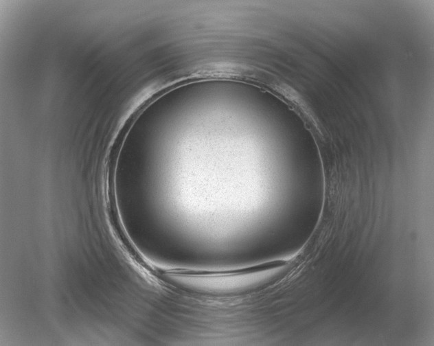 X0000078891083200611201430