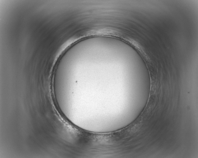 X0000078891086200611201430