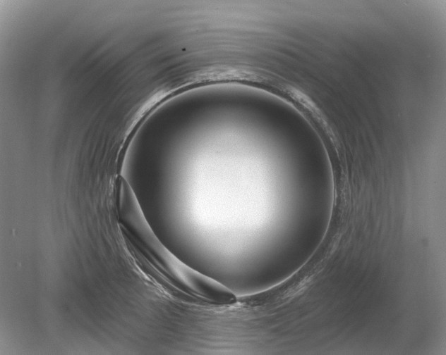 X0000078891089200611201430