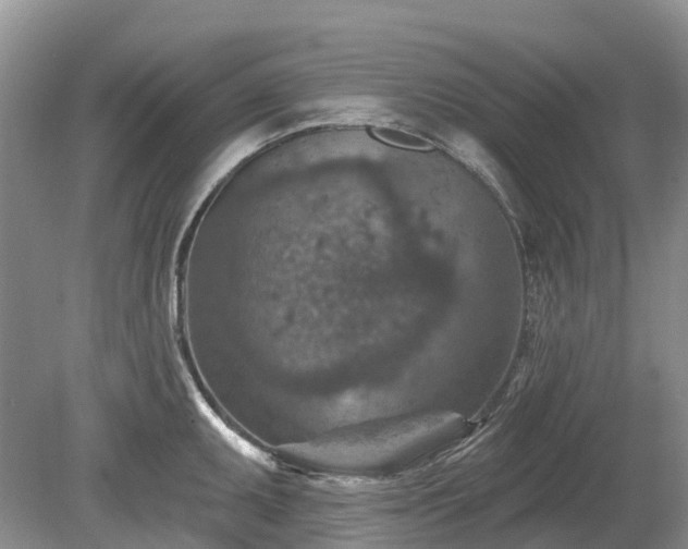 X0000078891095200611201430