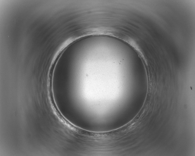 X0000078891096200611201430