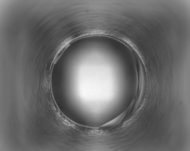 X0000078891097200611201430