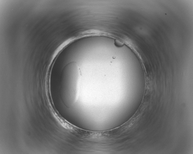 X0000078891098200611201430