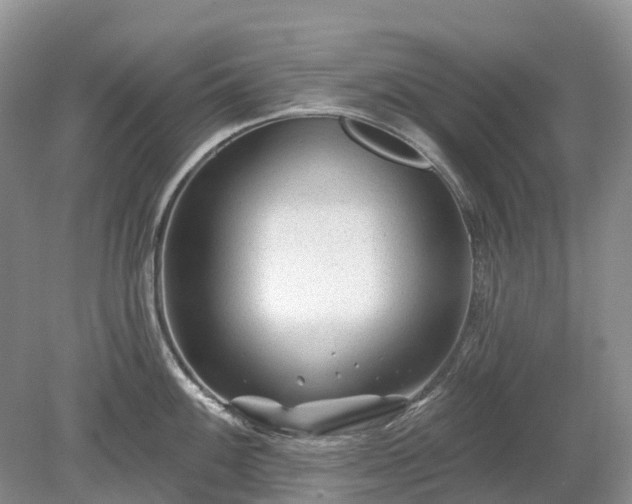 X0000078891100200611201430