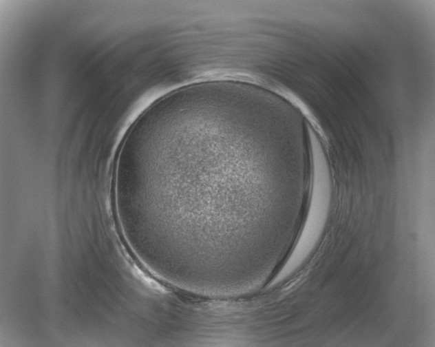 X0000078891102200611201430