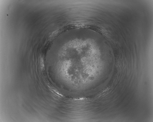 X0000078891106200611201429