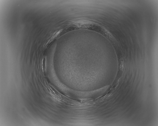 X0000078891108200611201429