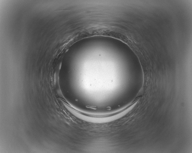 X0000078891109200611201429