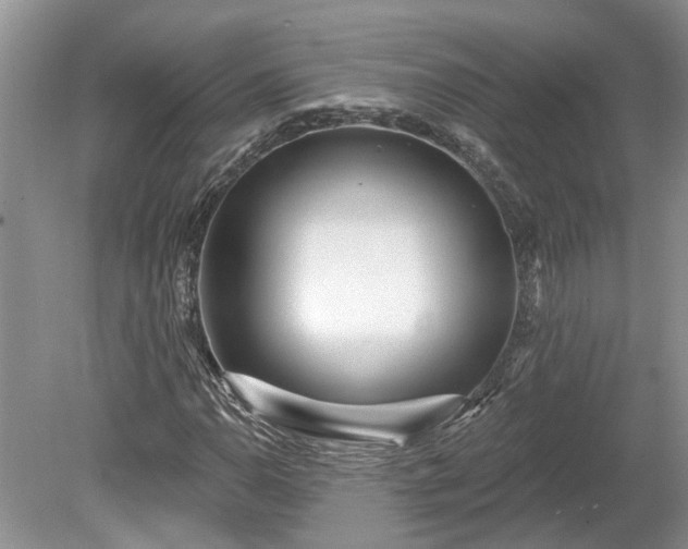 X0000078891110200611201429