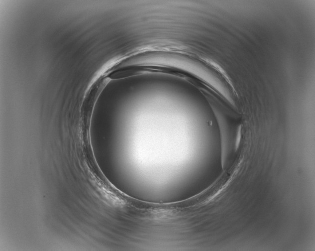 X0000078891114200611201429