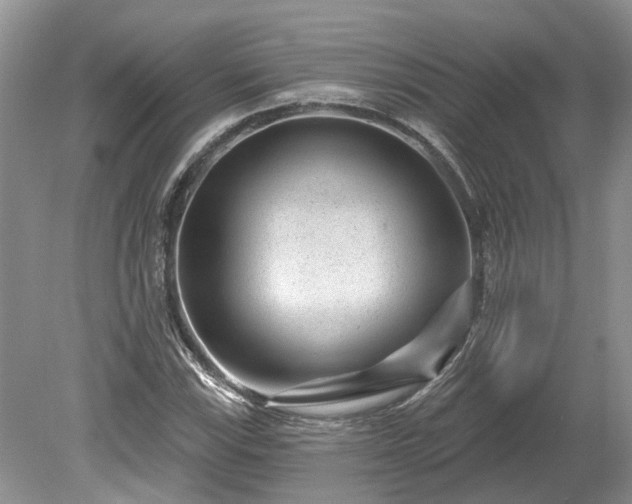 X0000078891115200611201429