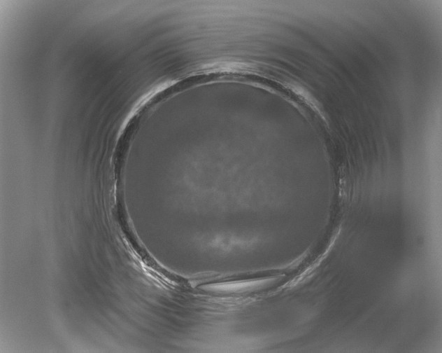 X0000078891117200611201429