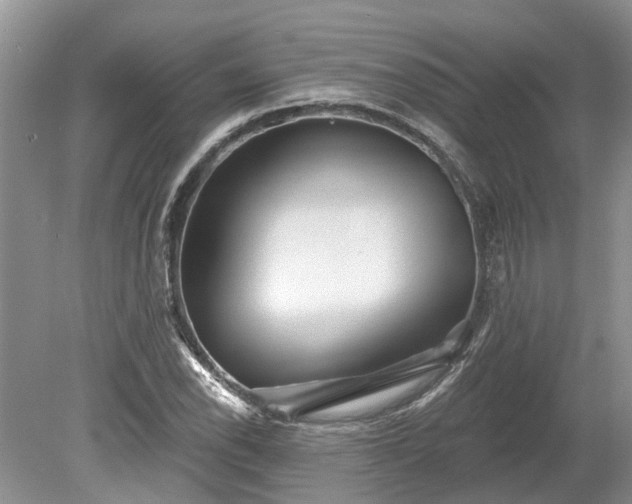 X0000078891118200611201429